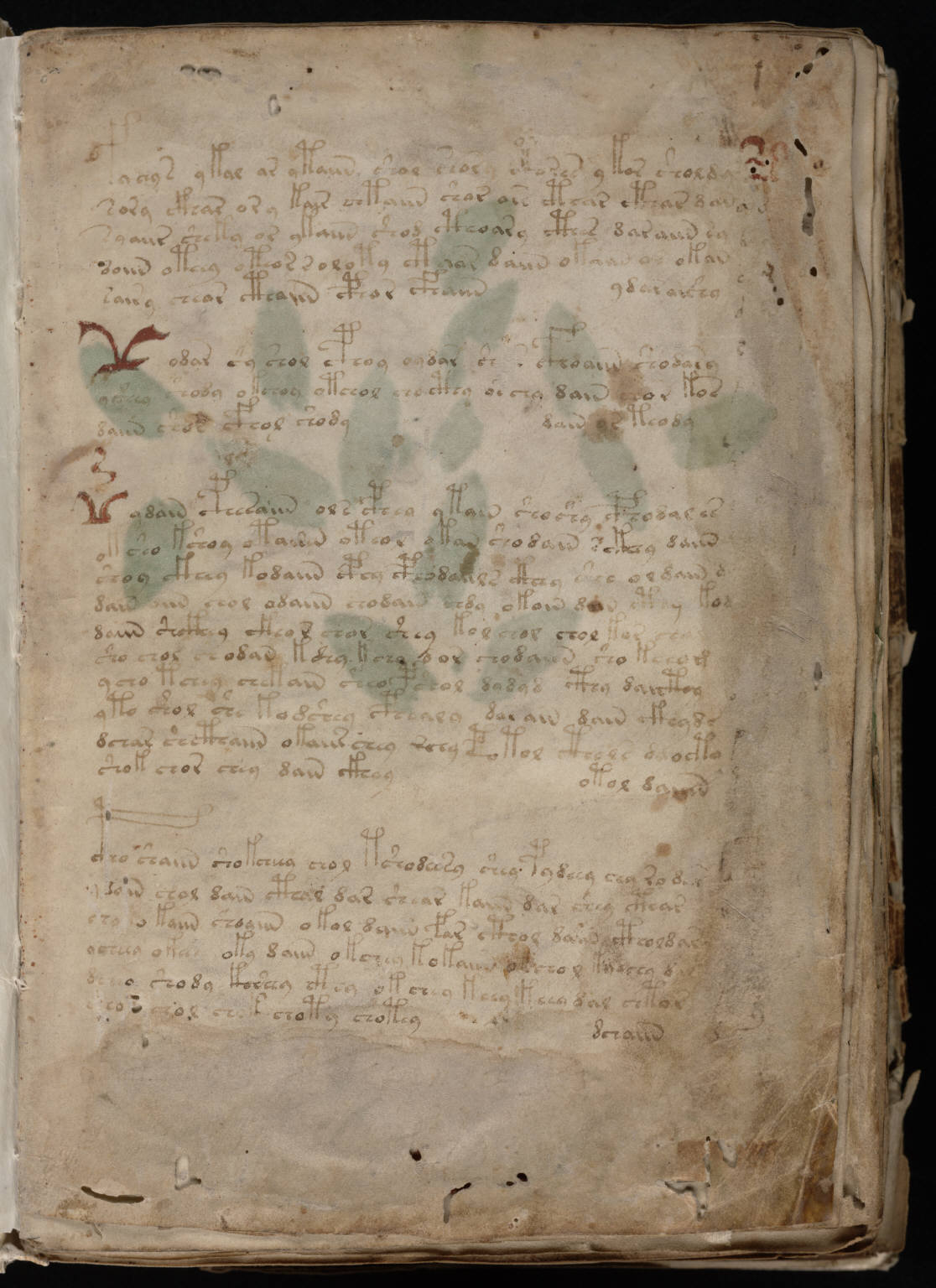 First page of the Voynich manuscript with blocks of faded brown writing and small red decorative marks
