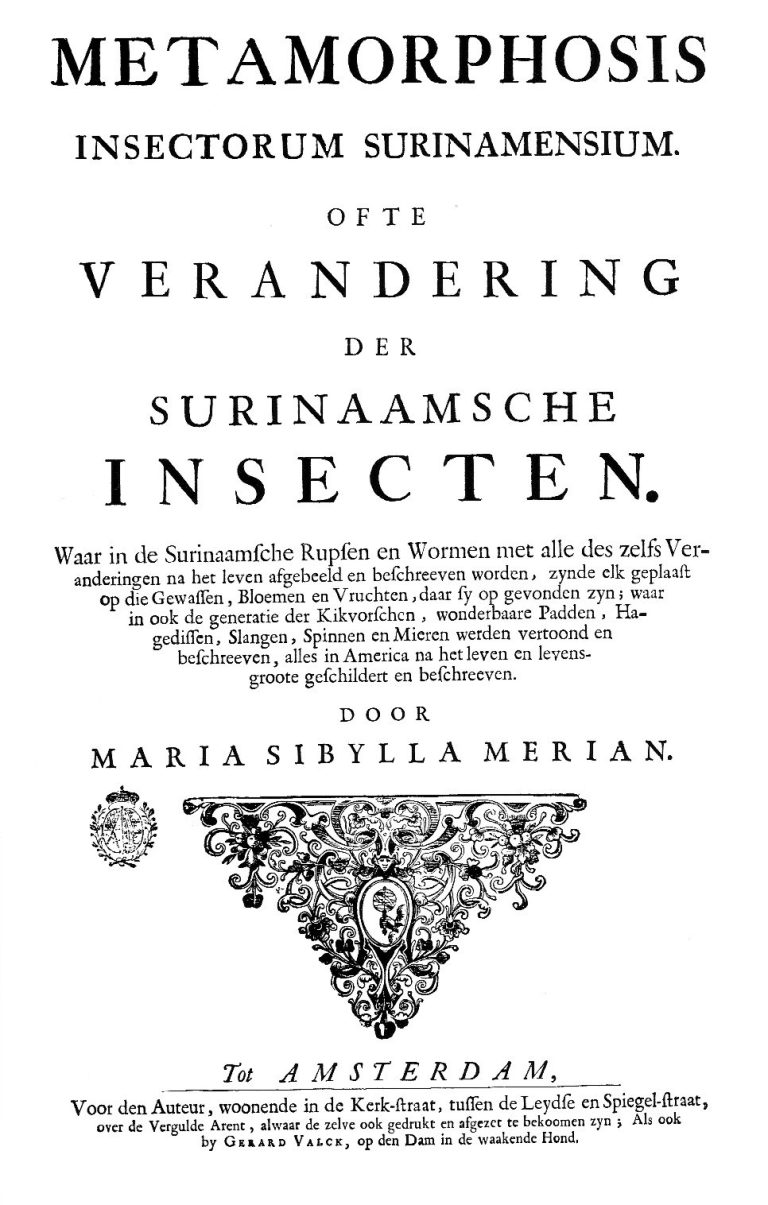 Maria Sibylla Merian in Suriname: The Work Behind the Wings