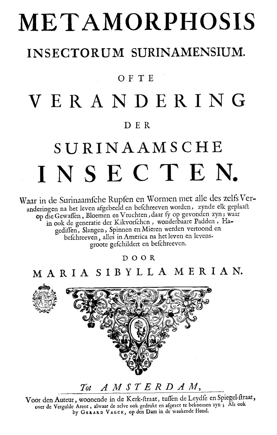 Decorative title page naming Maria Sibylla Merian and the insects of Suriname.