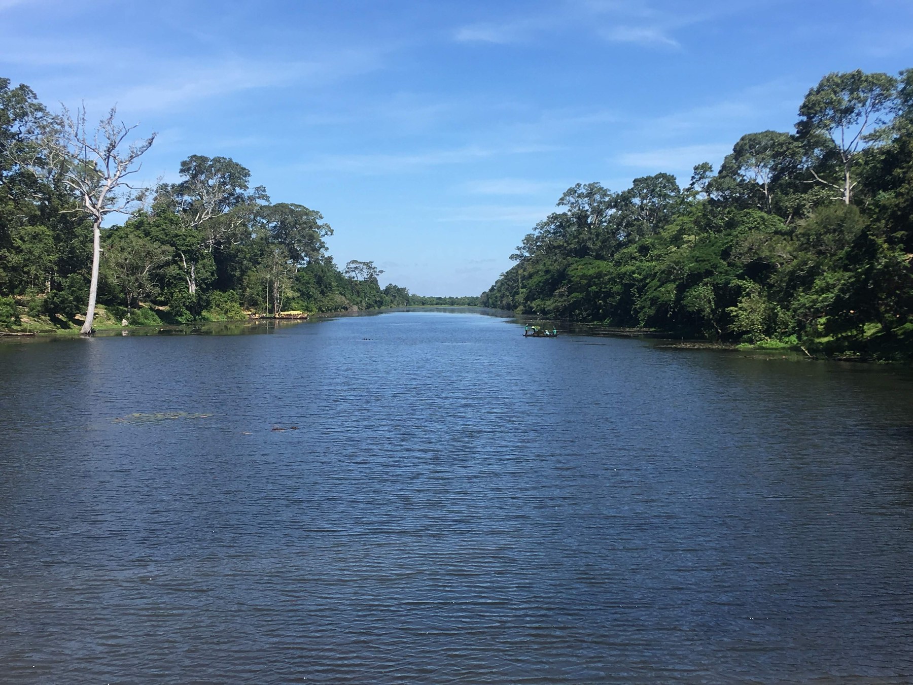 Water and trees along the moat surrounding Angkor Thom.