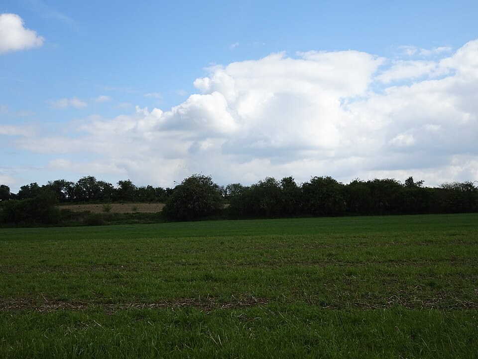 Modern agricultural landscape at the Bouvines battlefield.