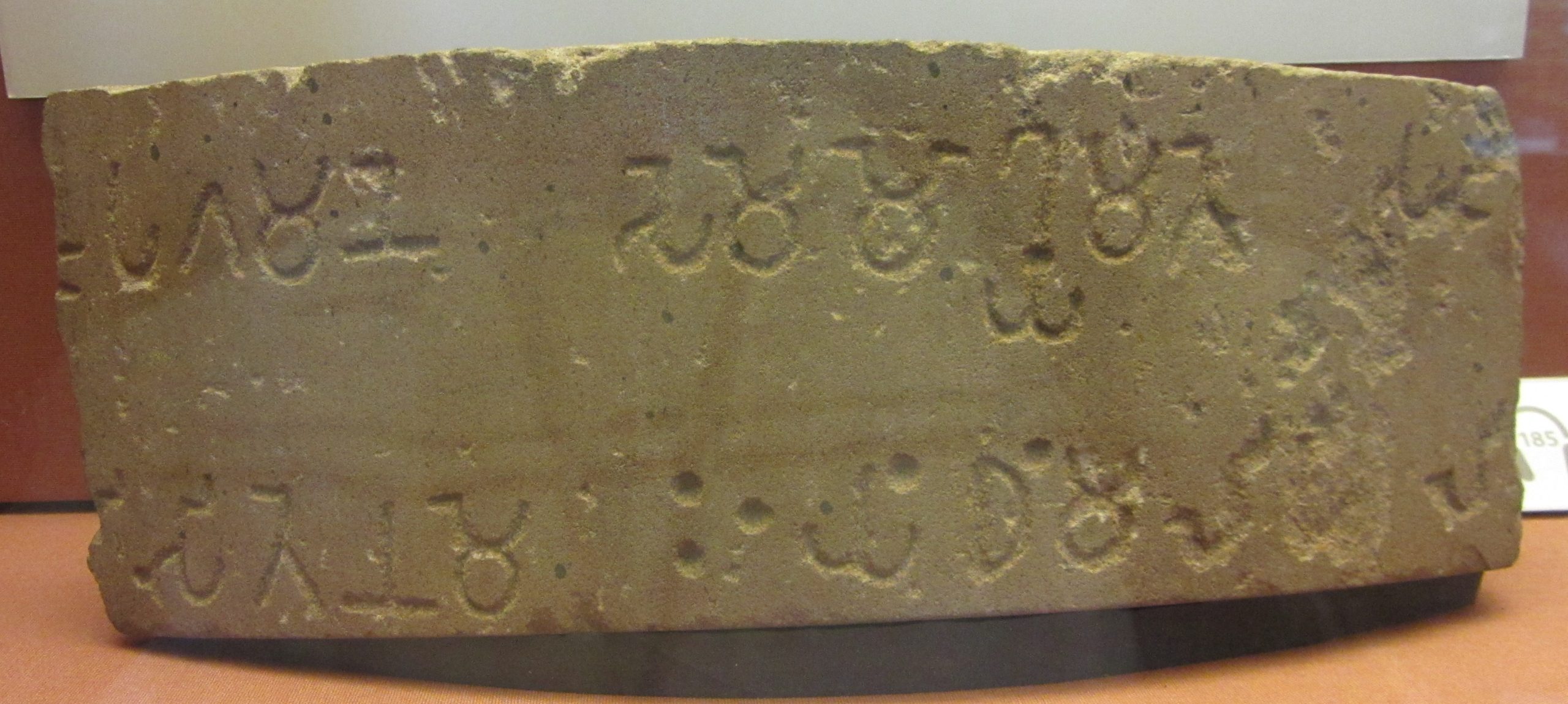 Curved sandstone fragment with two surviving lines of Ashoka’s Brahmi inscription in a museum display