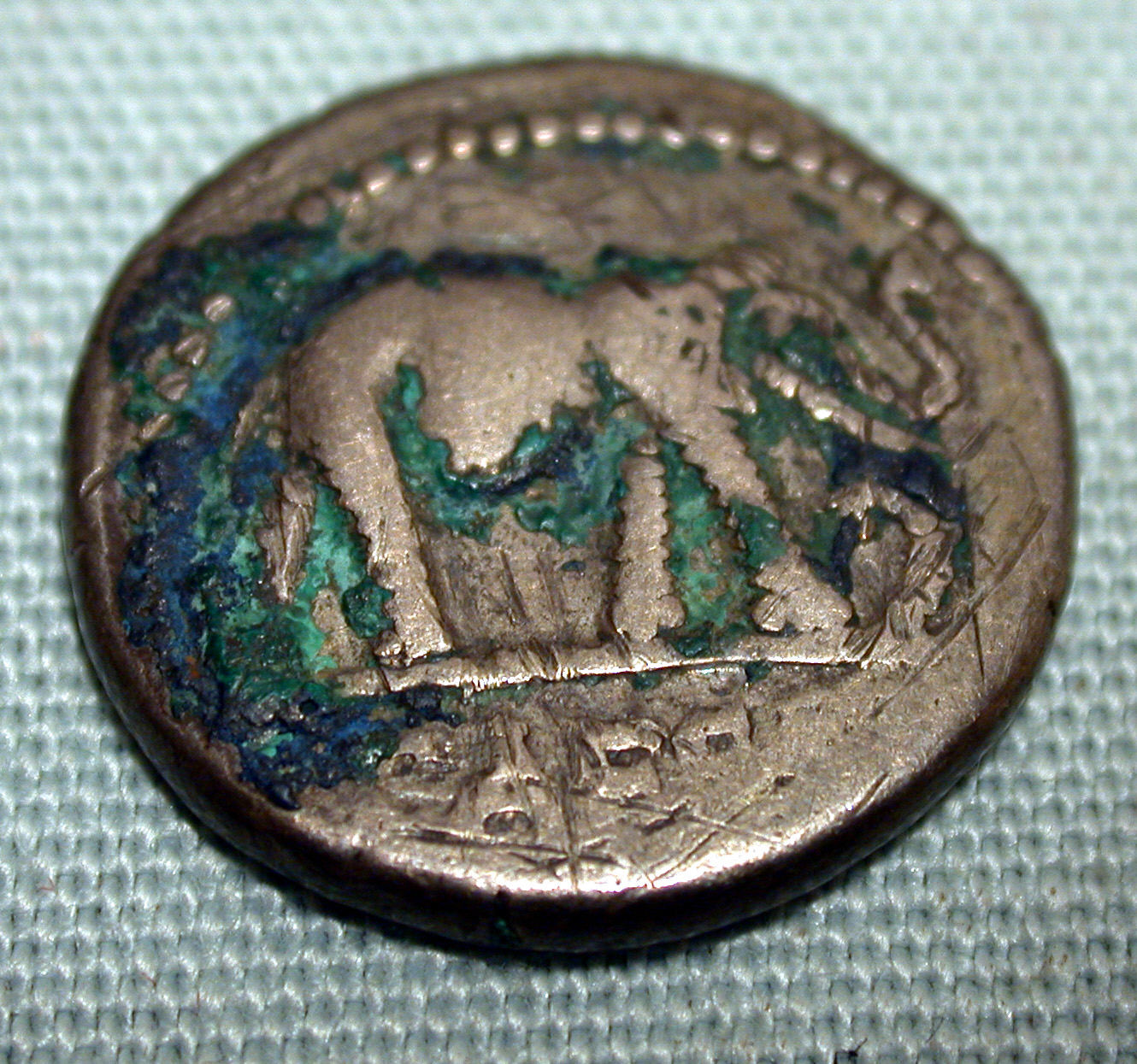 An elephant above the name CAESAR on a silver denarius issued around 49–48 BCE.
