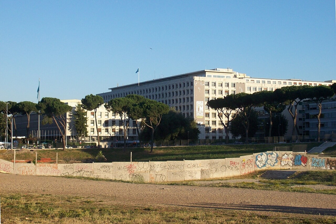 The FAO headquarters in Rome behind umbrella pines, seen across the edge of the Circus Maximus.