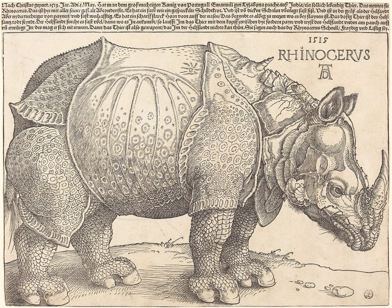 The Rhinoceros Dürer Never Saw: How an Image Became an Authority