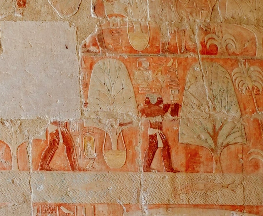 Figures carrying an incense tree in a basket suspended from a pole, carved in the Punt relief