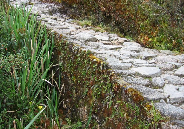The Inca Road and the Runners Who Held an Empire Together