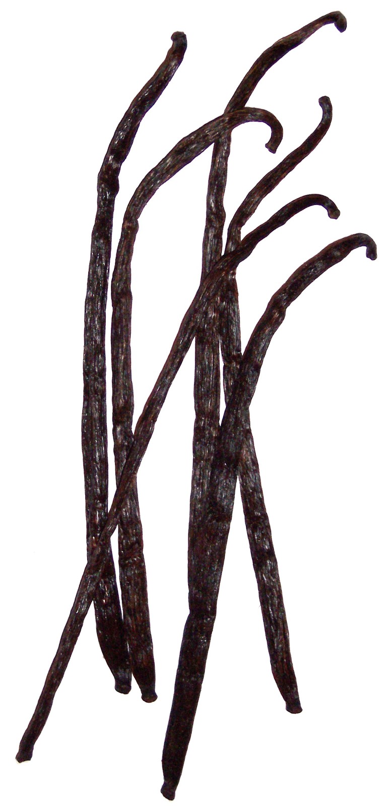 Six dark cured vanilla pods arranged against a light background.