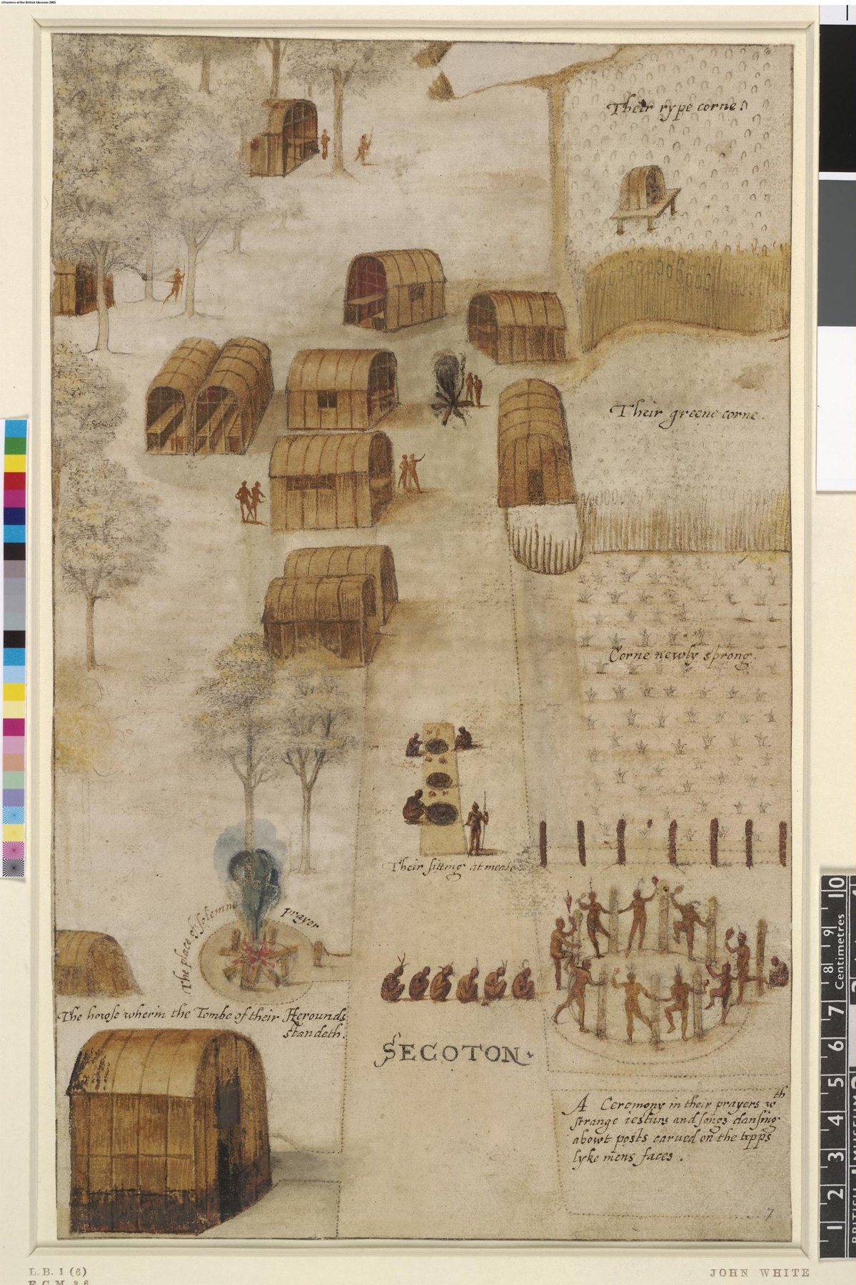 John White watercolor showing houses, cultivated fields and people in the town of Secoton