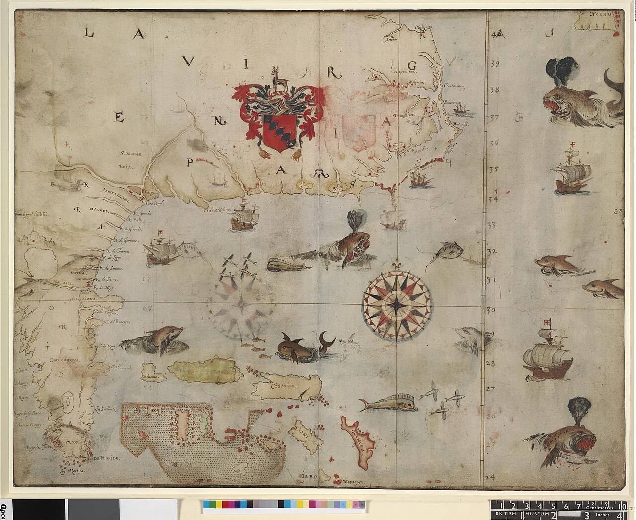 Sixteenth-century map of the southeastern North American coast with ships, sea creatures and Raleigh’s arms