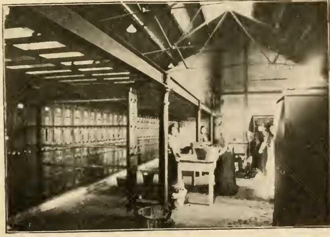 Historical photograph of large drying apparatus and a narrow work passage under exposed roof trusses at Hornsey Road laundry.
